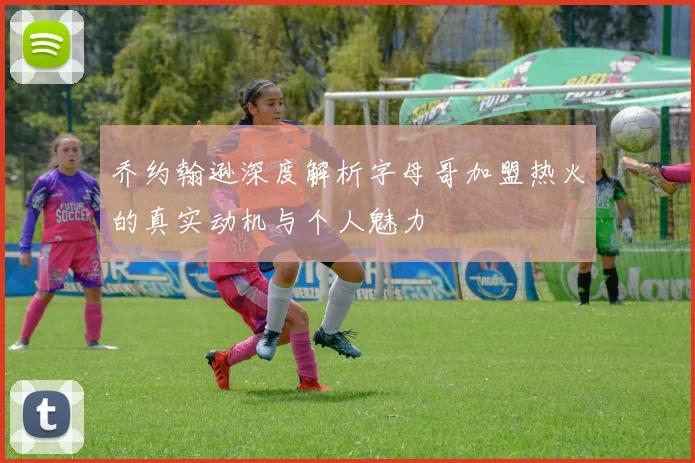 乔约翰逊深度解析字母哥加盟热火的真实动机与个人魅力